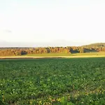 La Mirabelle Des 3 Forets Homestay