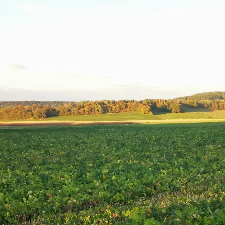 La Mirabelle Des 3 Forêts Séjour chez l'habitant