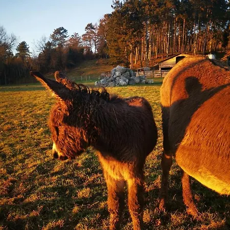 Alloggio in famiglia La Mirabelle Des 3 Forets